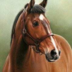 Horse 1 (pastel) 40 x 60cm